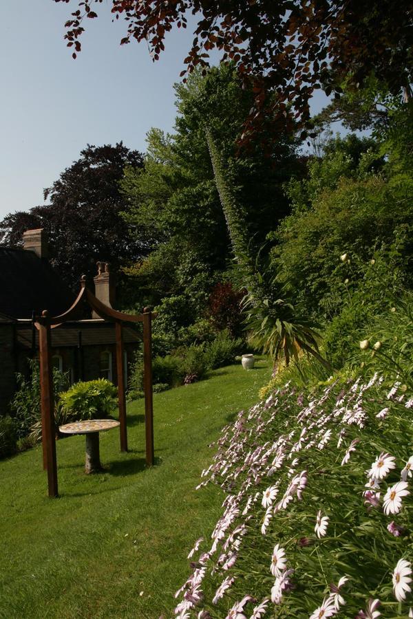 Affittacamere Norbury House Stylish Ilfracombe